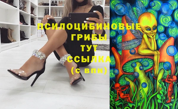 mdpv Арсеньев